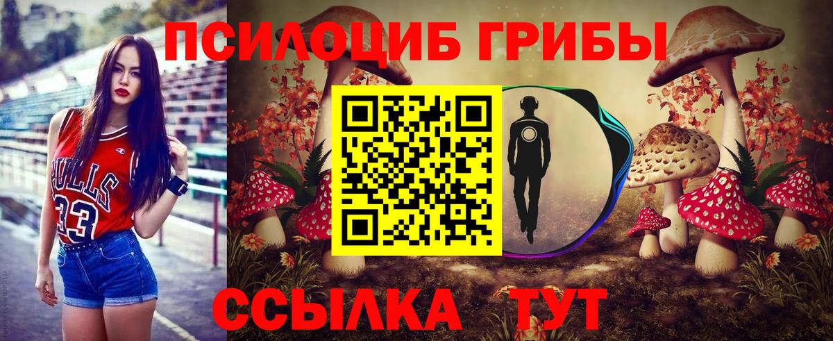 Галлюциногенные грибы Psilocybine cubensis Щёлково