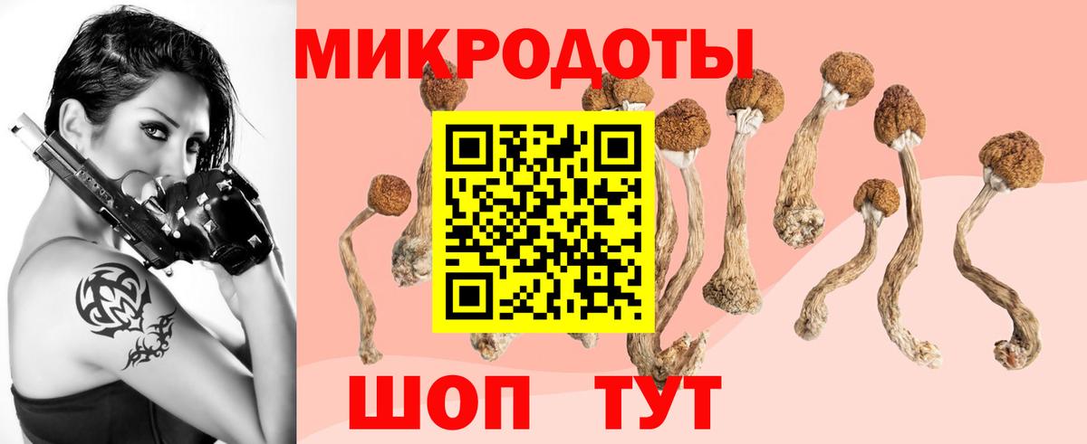 Щёлково  Галлюциногенные грибы мицелий  Вход с VPN 